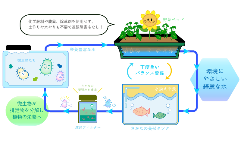 アクアポニックスとは？