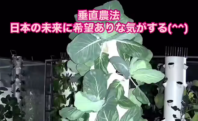 このように誕生しました