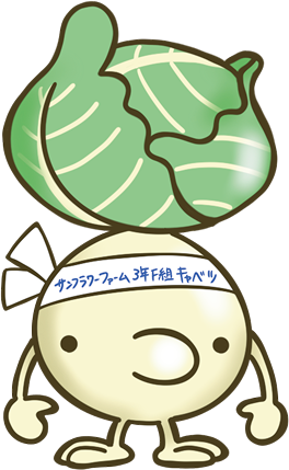 キャベツ