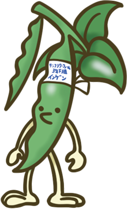インゲン