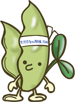 ソラマメ
