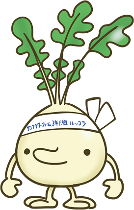 ルッコラ