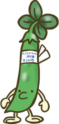 エンドウ