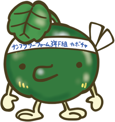 カボチャ