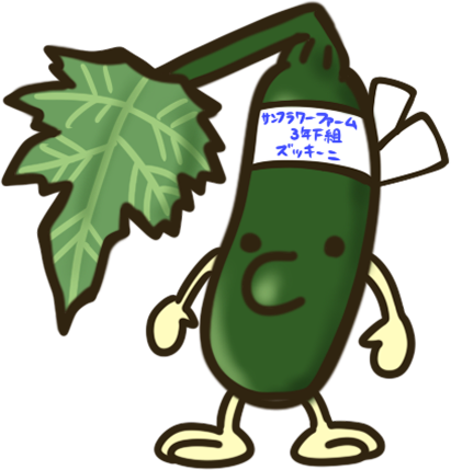 ズッキーニ